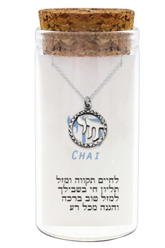 Pendentif Hai cerclé et chaine en argent 925