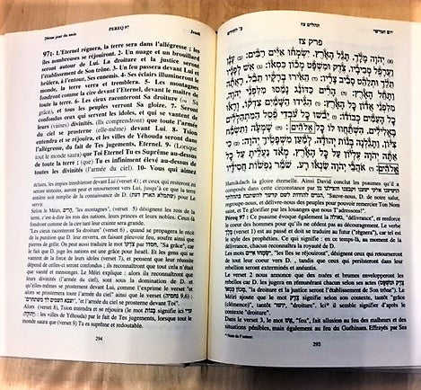 Psaumes traduits avec commentaires du Meiri grand format
