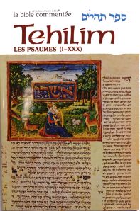 Tehilim / Psaumes Tome III (LVI-LXXXV de 55 à 85) avec une grande richesse de commentaires