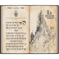 Les contes des temps anciens, contes de rabbi nachman de Breslav traduits en Français