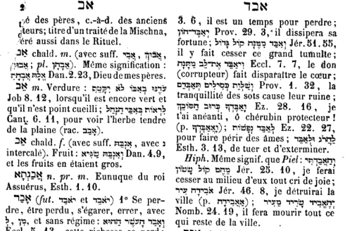 Dictionnaire d'étude biblique Sander et Trenel