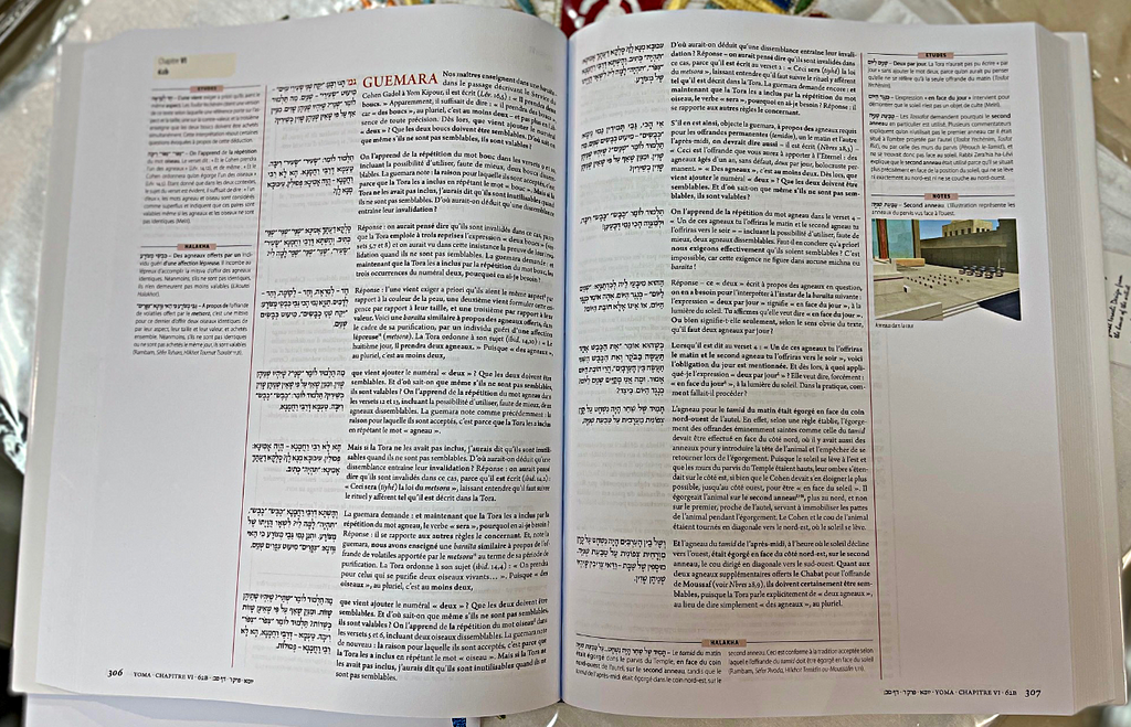 Talmud STEINSALTZ - nouvelle édition DRAHI - TRAITE YOMA N°9