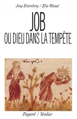 Job ou Dieu dans la tempête, d'Elie Wiesel