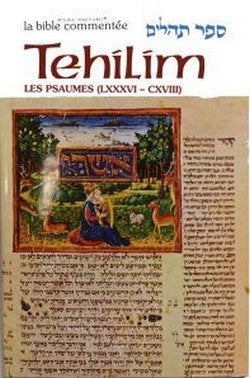Tehilim / Psaumes Tome IV (LXXXVI - CXVIII de 86 à 118 ) avec une grande richesse de commentaires.